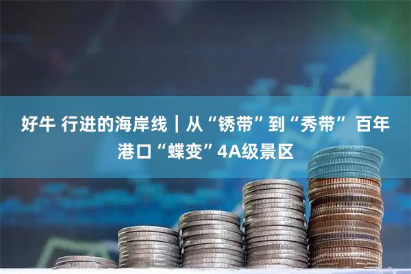 好牛 行进的海岸线｜从“锈带”到“秀带” 百年港口“蝶变”4A级景区