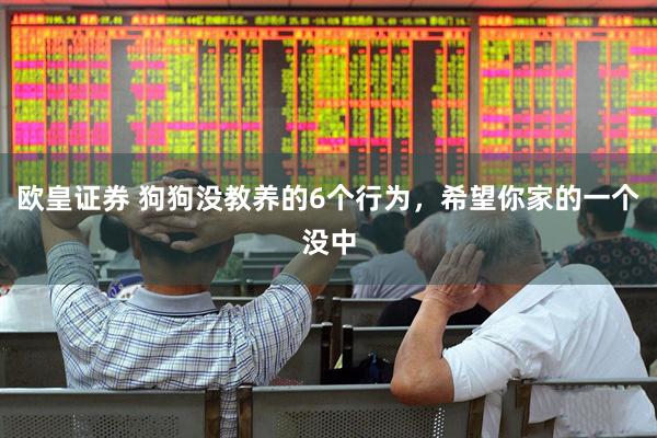 欧皇证券 狗狗没教养的6个行为，希望你家的一个没中