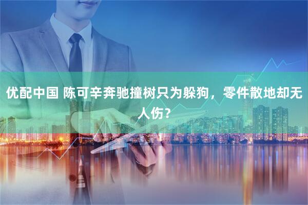 优配中国 陈可辛奔驰撞树只为躲狗，零件散地却无人伤？