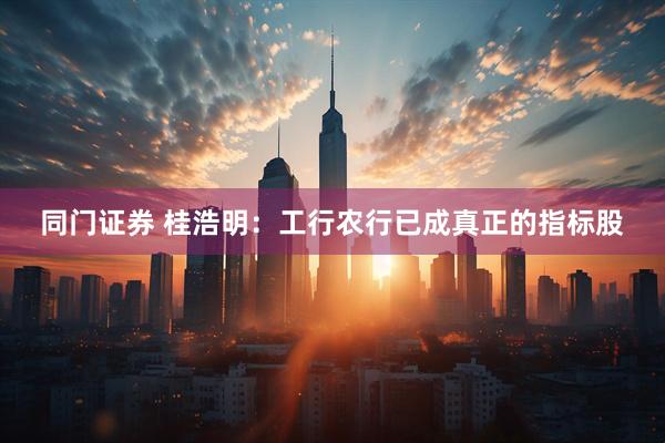 同门证券 桂浩明：工行农行已成真正的指标股