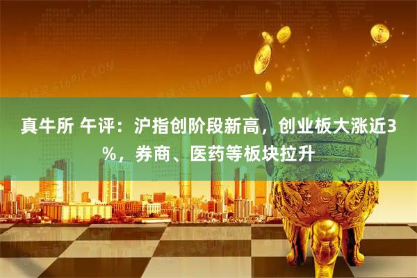 真牛所 午评：沪指创阶段新高，创业板大涨近3%，券商、医药等板块拉升